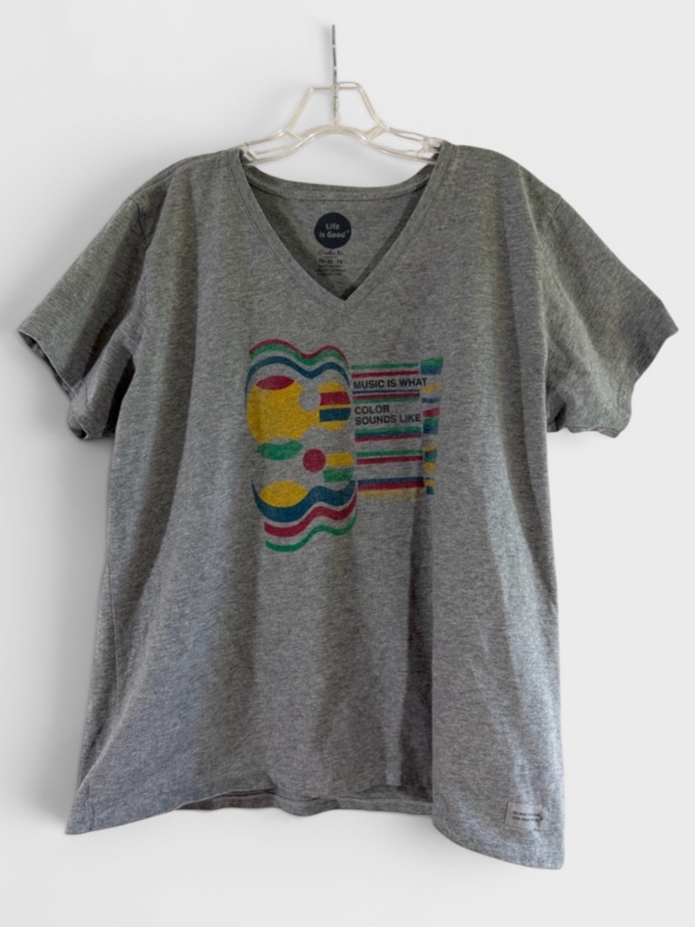 622 10/$50 Life Is Good Music Is What Color Sounds Like V-Neck Gray T-Shirt
